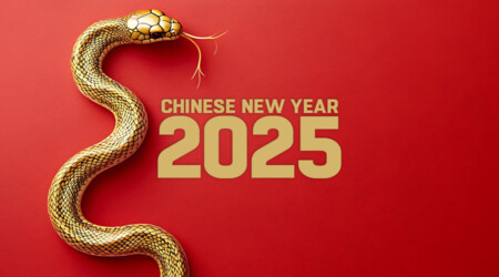 Chinese New Year 2025